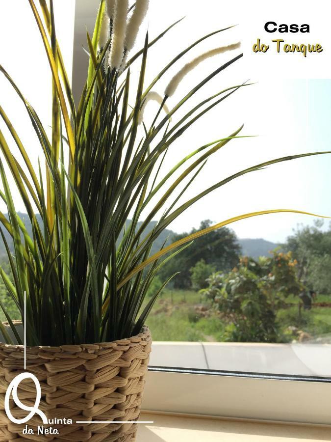 Quinta Dos Netos Villa ตาวิรา ภายนอก รูปภาพ